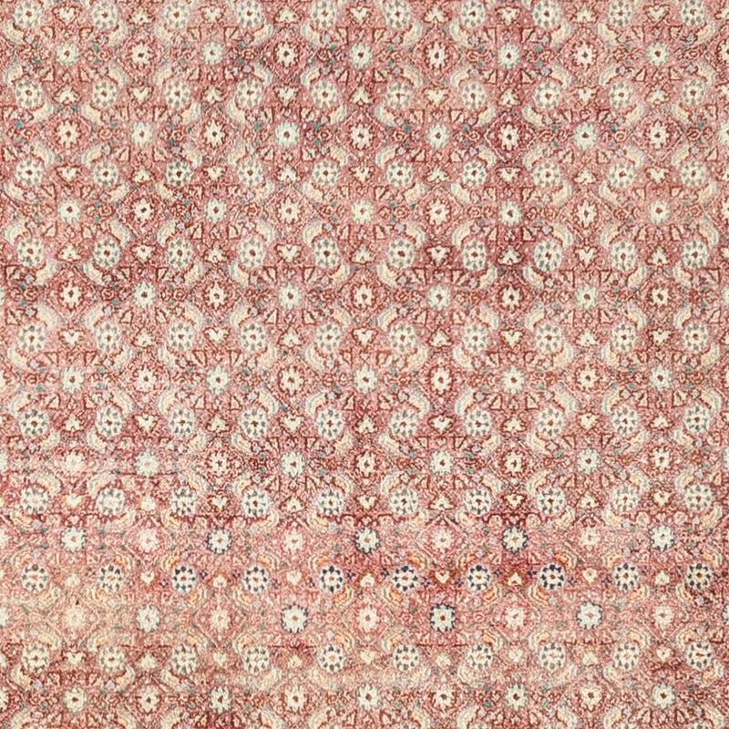 Moud Tapete 248x335cm - Tapete persa