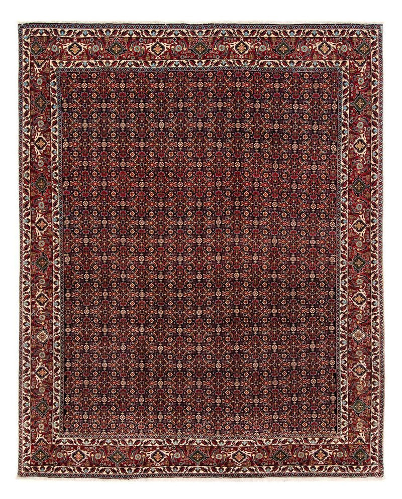 Bidjar Tapete 248x205cm - Tapete persa