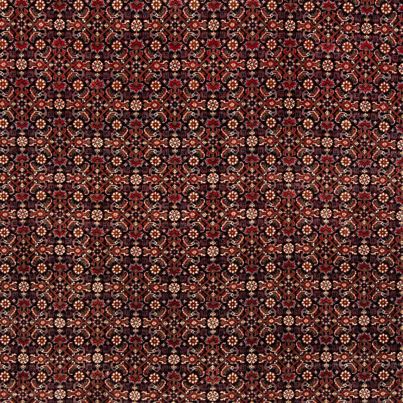 Bidjar Tapete 248x205cm - Tapete persa
