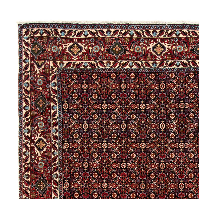 Bidjar Tapete 248x205cm - Tapete persa