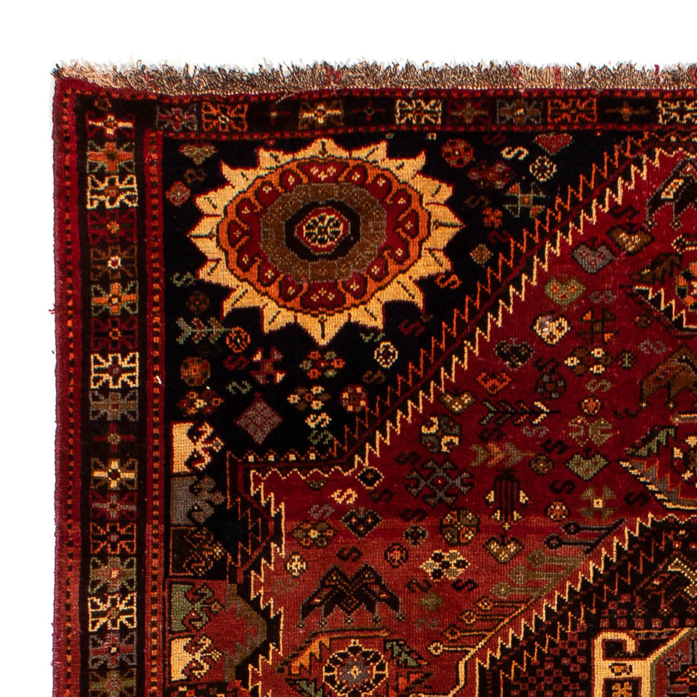 Shiraz Tapete 285x185cm - Tapete persa