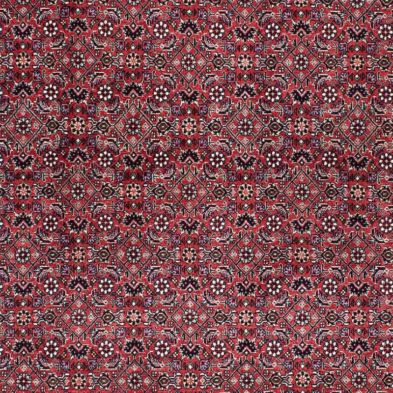 Bidjar Tapete 200x133cm - Tapete persa
