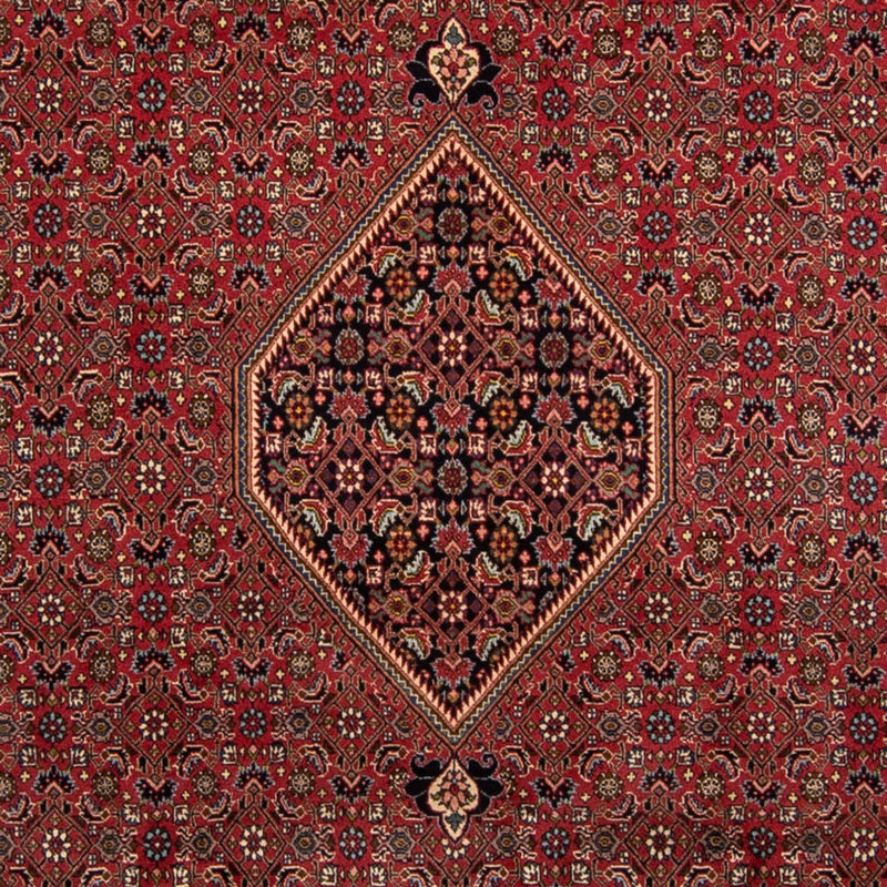 Tapete Persa - Bijar - 343 x 248 cm - castanho