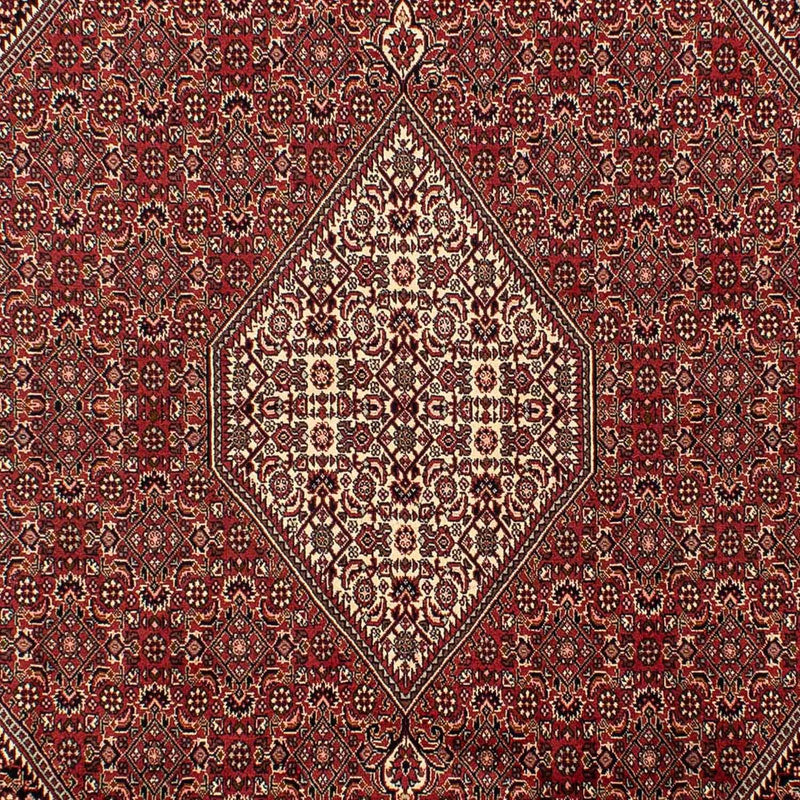 Bidjar Tapete 304x200cm - Tapete persa