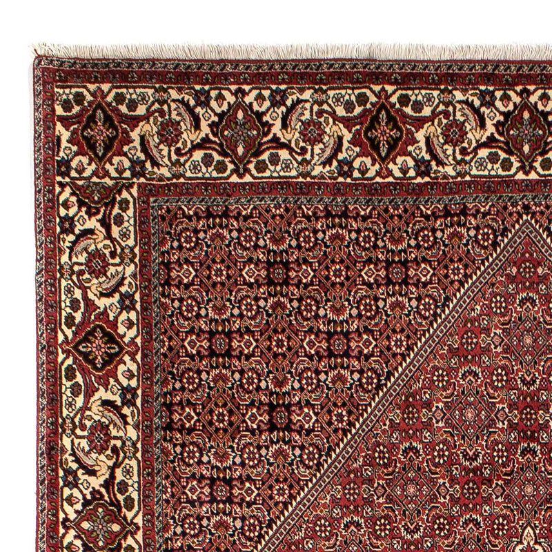 Bidjar Tapete 304x200cm - Tapete persa