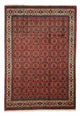 Bidjar Tapete 200x290cm - Tapete persa