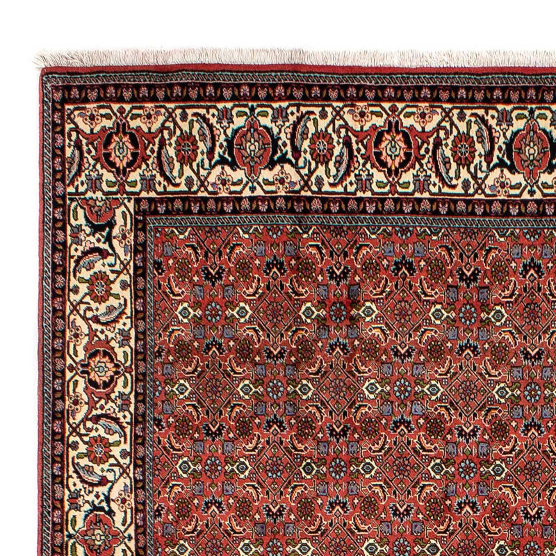 Bidjar Tapete 200x290cm - Tapete persa