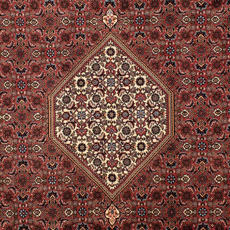 Bidjar Tapete 302x200cm - Tapete persa