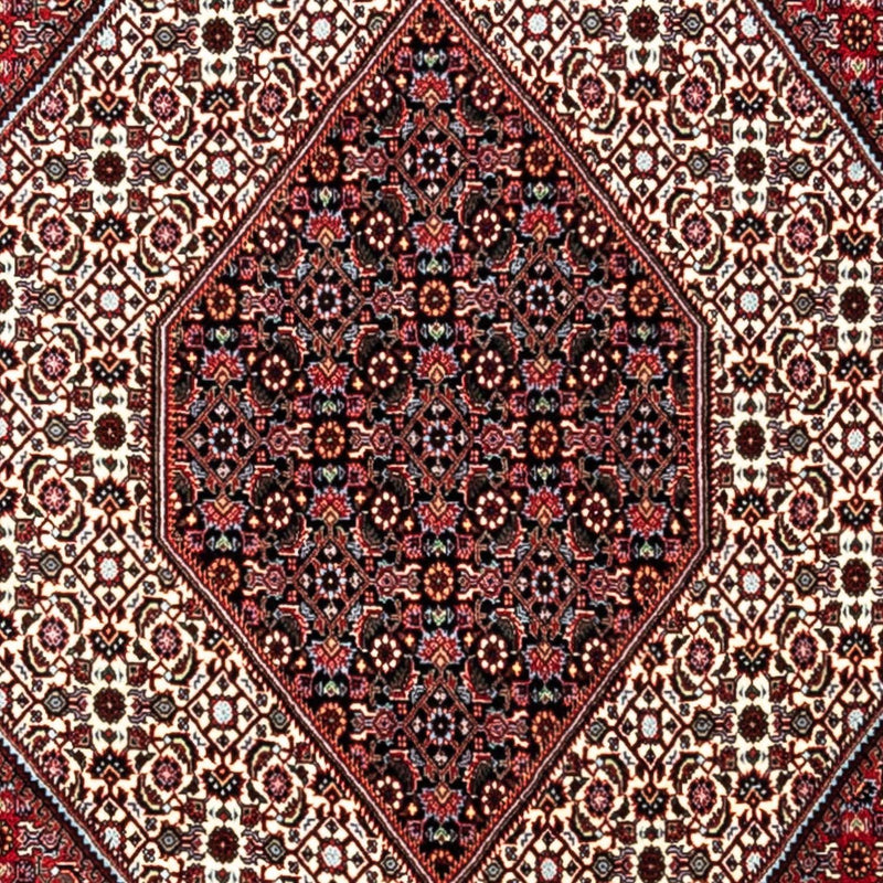 Bidjar - Takab Tapete 338x249cm - Tapete persa