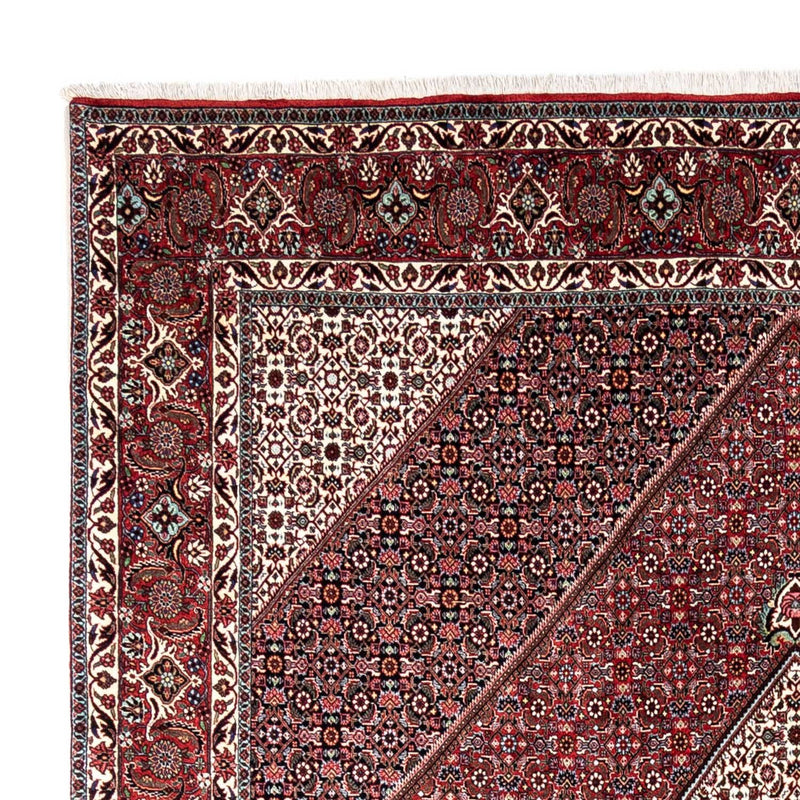 Bidjar - Takab Tapete 338x249cm - Tapete persa