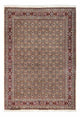 Moud Tapete 234x174cm - Tapete persa