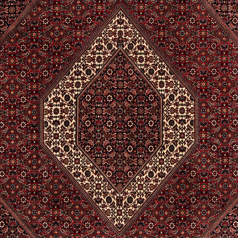 Bidjar Tapete 203x263cm - Tapete persa