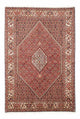 Bidjar Tapete 258x174cm - Tapete persa
