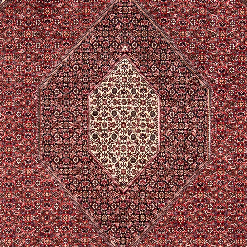 Tapete Persa - Bijar - 295 x 251 cm - vermelho escuro
