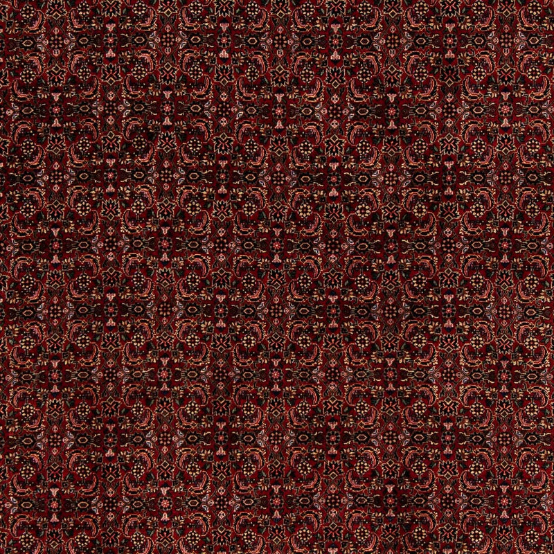 Bidjar Tapete 202x249cm - Tapete persa