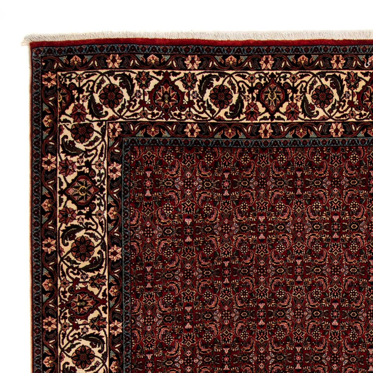 Bidjar Tapete 202x249cm - Tapete persa