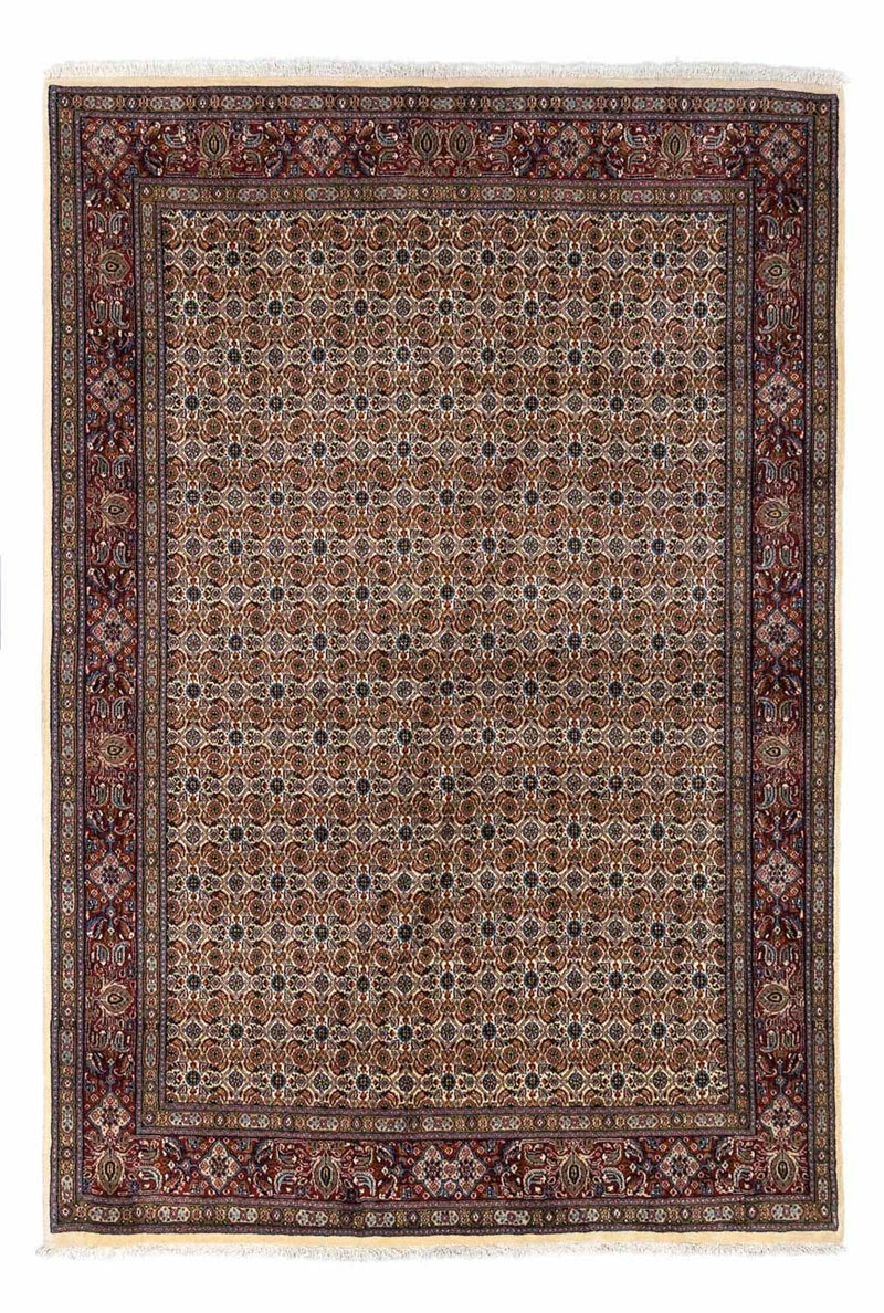 Moud Tapete 242x170cm - Tapete persa