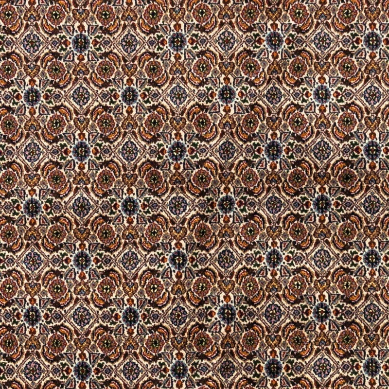 Moud Tapete 242x170cm - Tapete persa