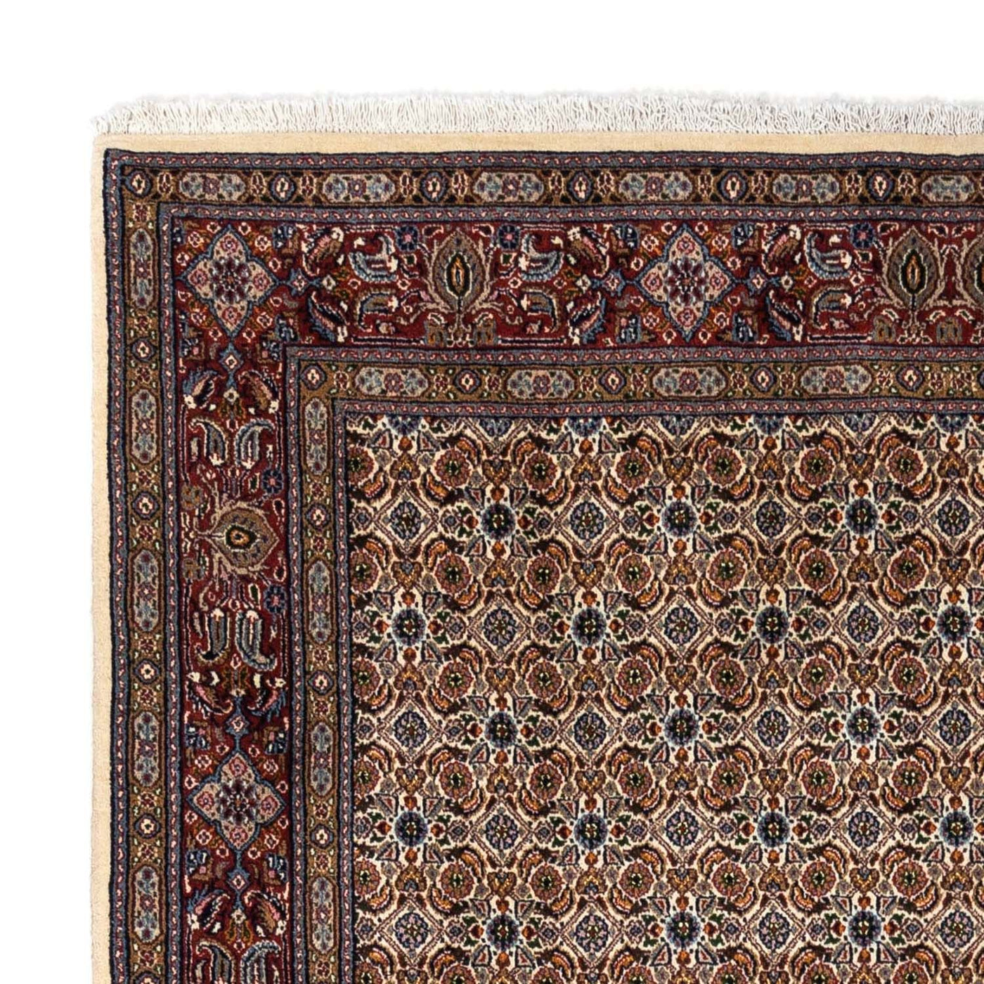 Moud Tapete 242x170cm - Tapete persa