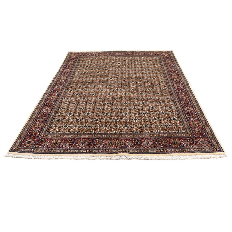 Moud Tapete 242x170cm - Tapete persa
