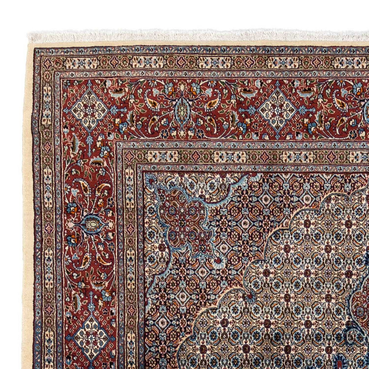 Moud Tapete 248x350cm - Tapete persa