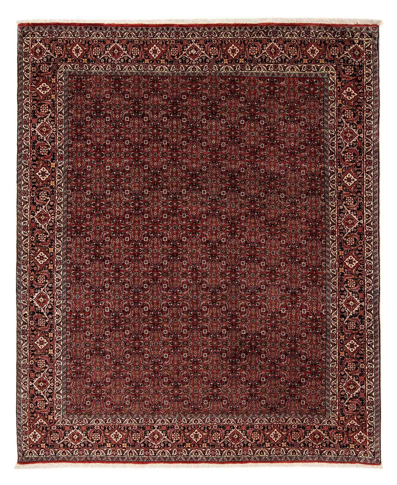 Bidjar Tapete 242x202cm - Tapete persa