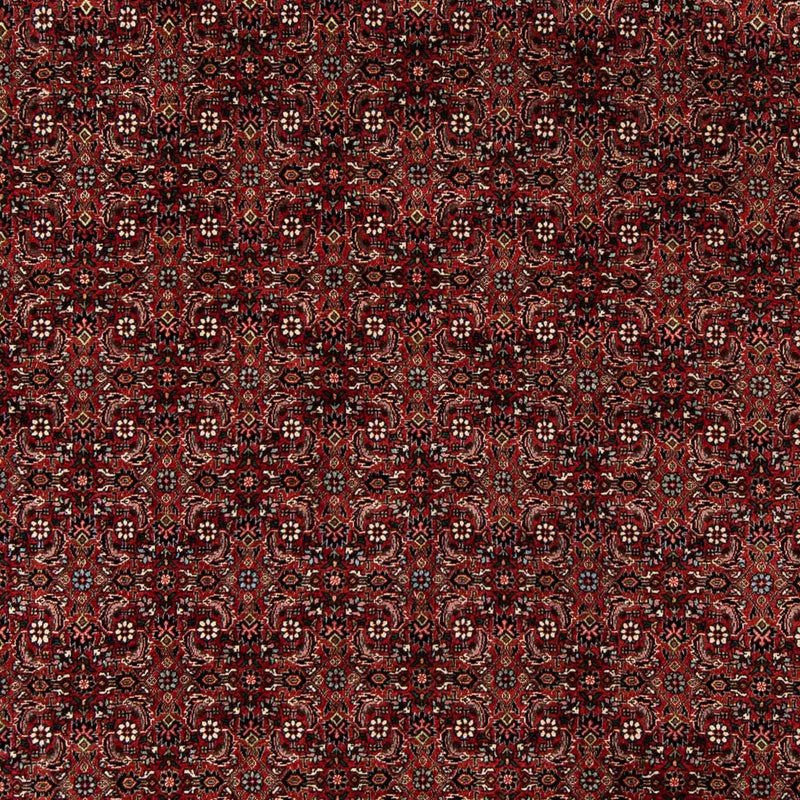 Bidjar Tapete 242x202cm - Tapete persa