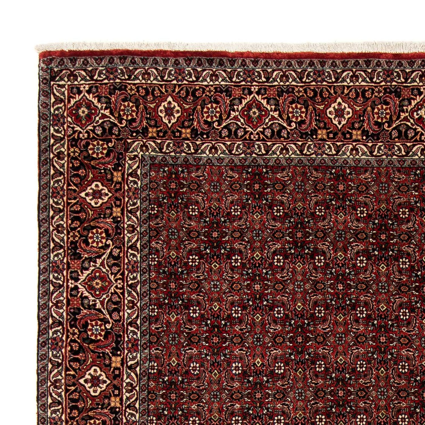 Bidjar Tapete 242x202cm - Tapete persa