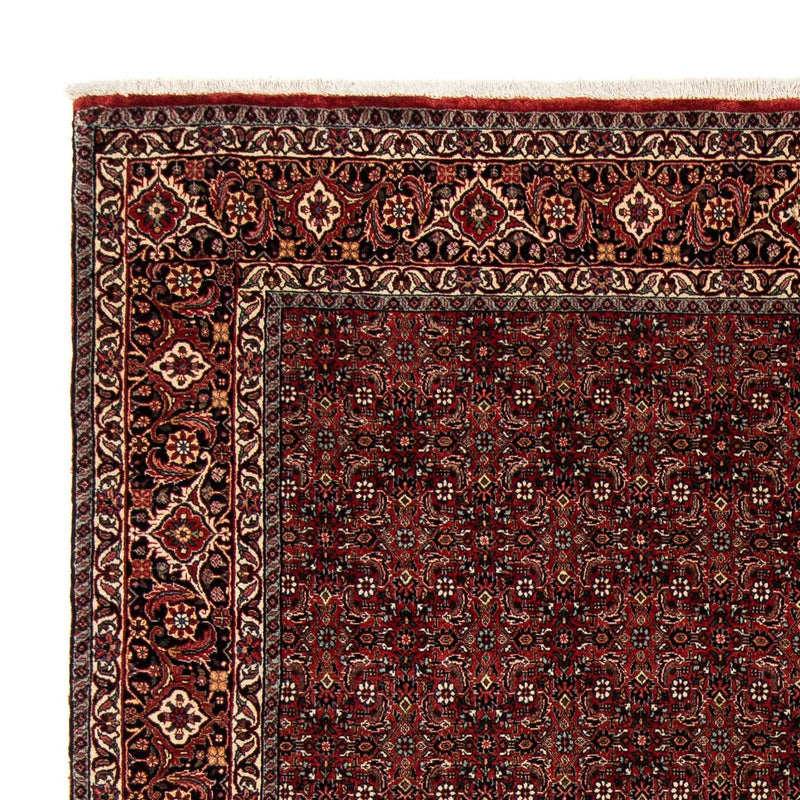Bidjar Tapete 242x202cm - Tapete persa