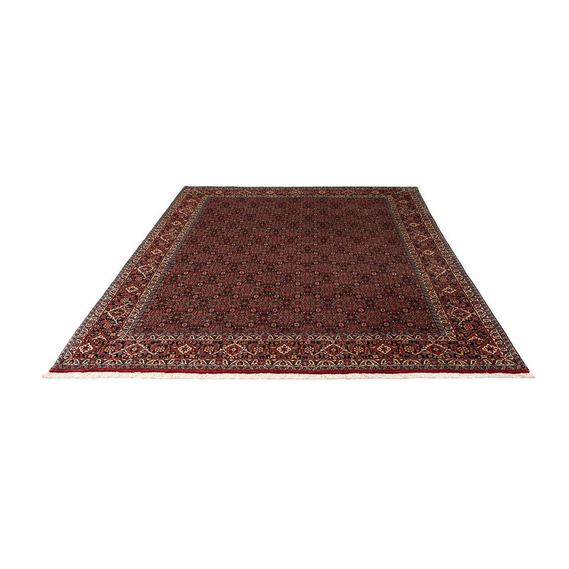 Bidjar Tapete 242x202cm - Tapete persa