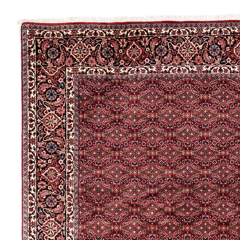Bidjar - Takab Tapete 337x252cm - Tapete persa