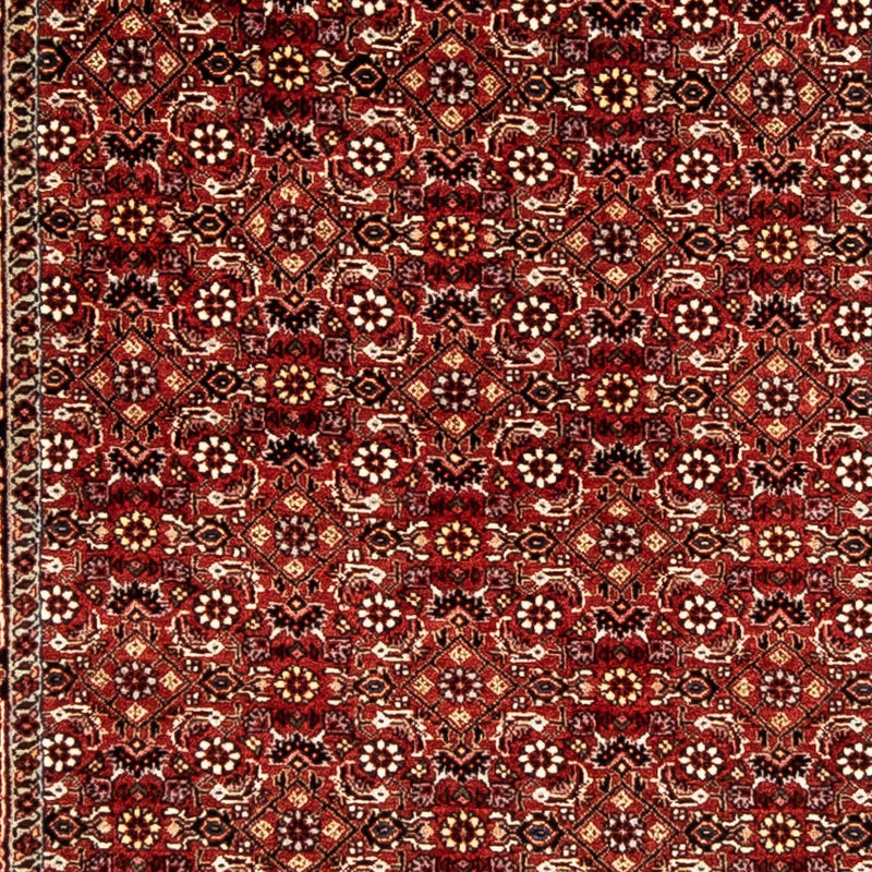 Bidjar Tapete 298x80cm - Tapete persa