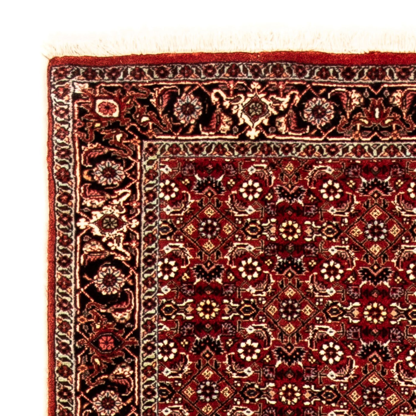 Bidjar Tapete 298x80cm - Tapete persa