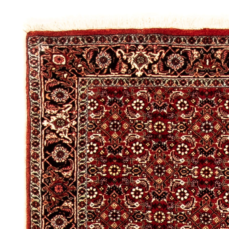 Bidjar Tapete 298x80cm - Tapete persa