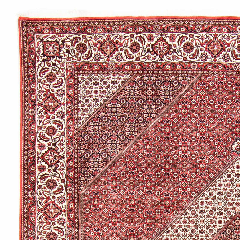 Bidjar Tapete 312x256cm - Tapete persa