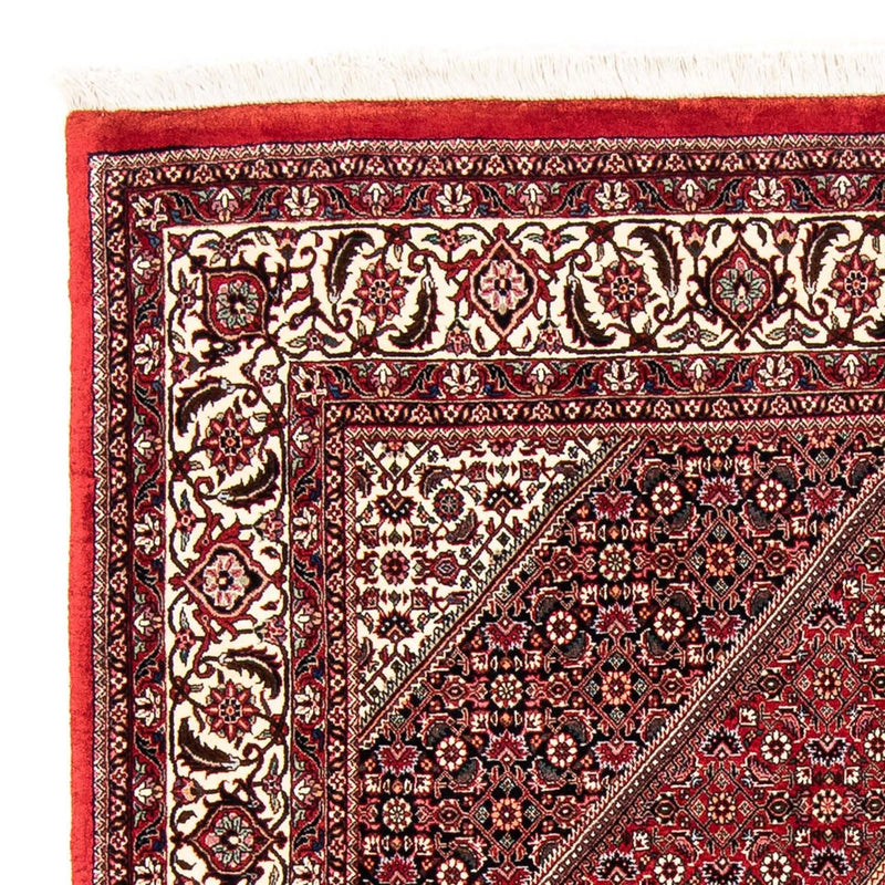 Bidjar Tapete 240x168cm - Tapete persa
