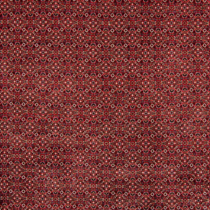 Bidjar Tapete 400x308cm - Tapete persa