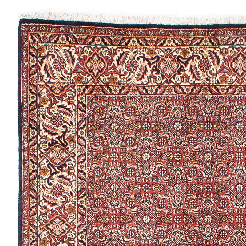 Bidjar Tapete 170x245cm - Tapete persa