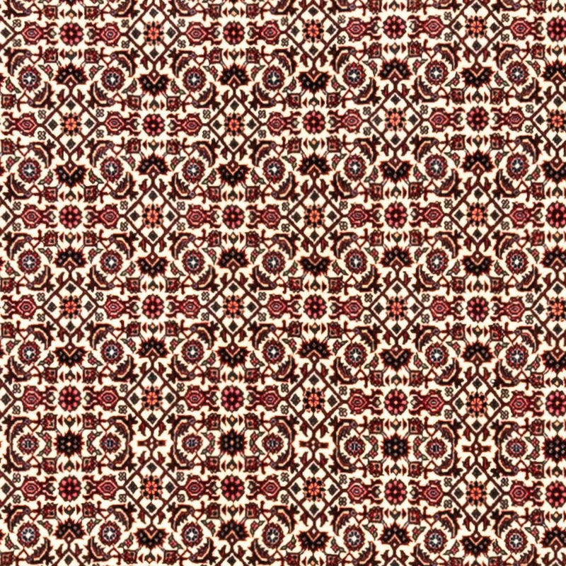 Tapete Persa - Bijar - Royal - 343 x 253 cm - bege