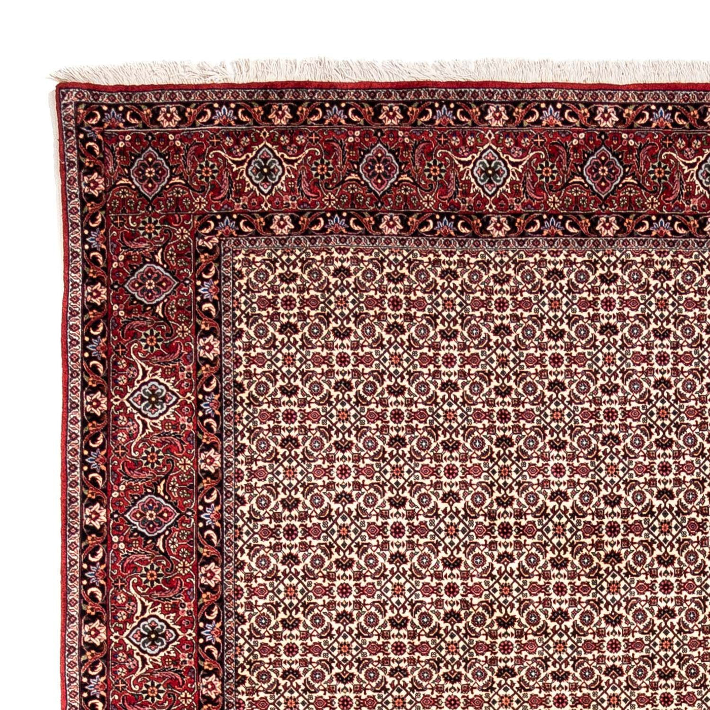 Tapete Persa - Bijar - Royal - 343 x 253 cm - bege