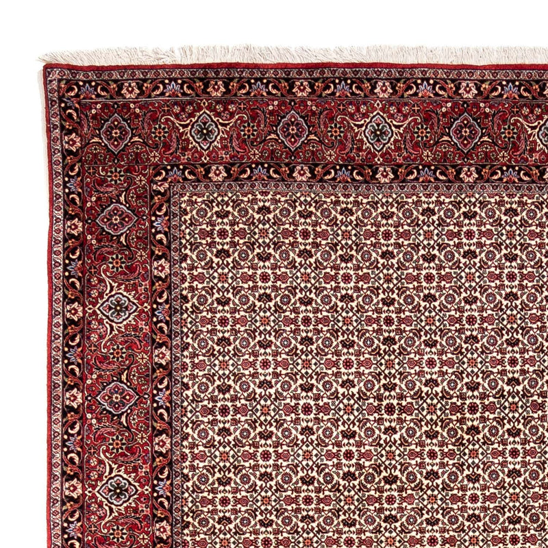 Tapete Persa - Bijar - Royal - 343 x 253 cm - bege
