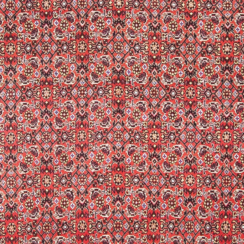 Bidjar Tapete 105x101cm - Tapete persa