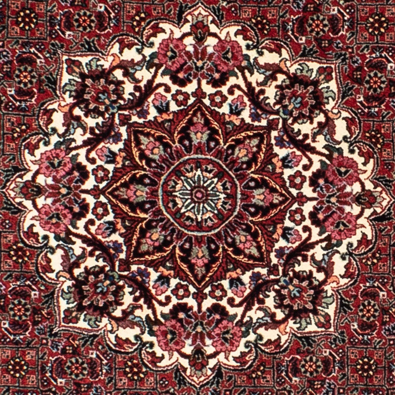 Bidjar Tapete 155x155cm - Tapete persa