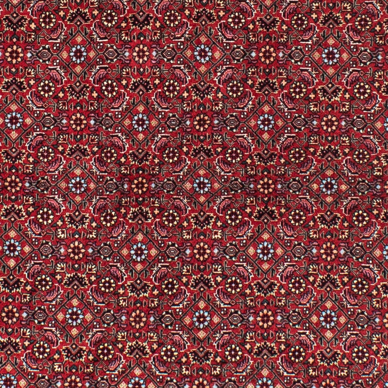 Bidjar Tapete 150x150cm - Tapete persa