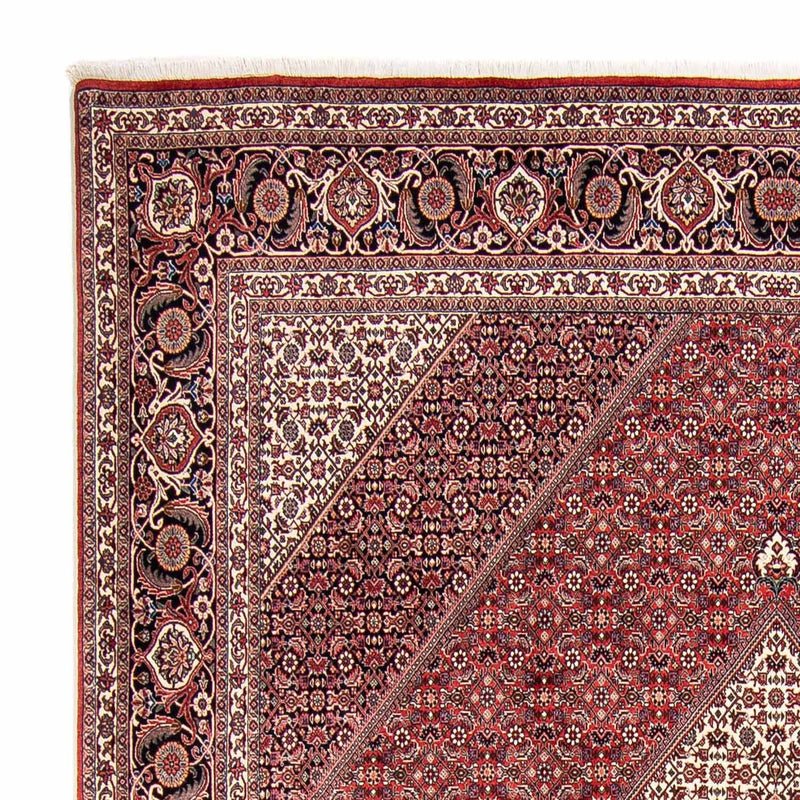 Bidjar Tapete 305x253cm - Tapete persa