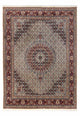 Moud Tapete 338x242cm - Tapete persa