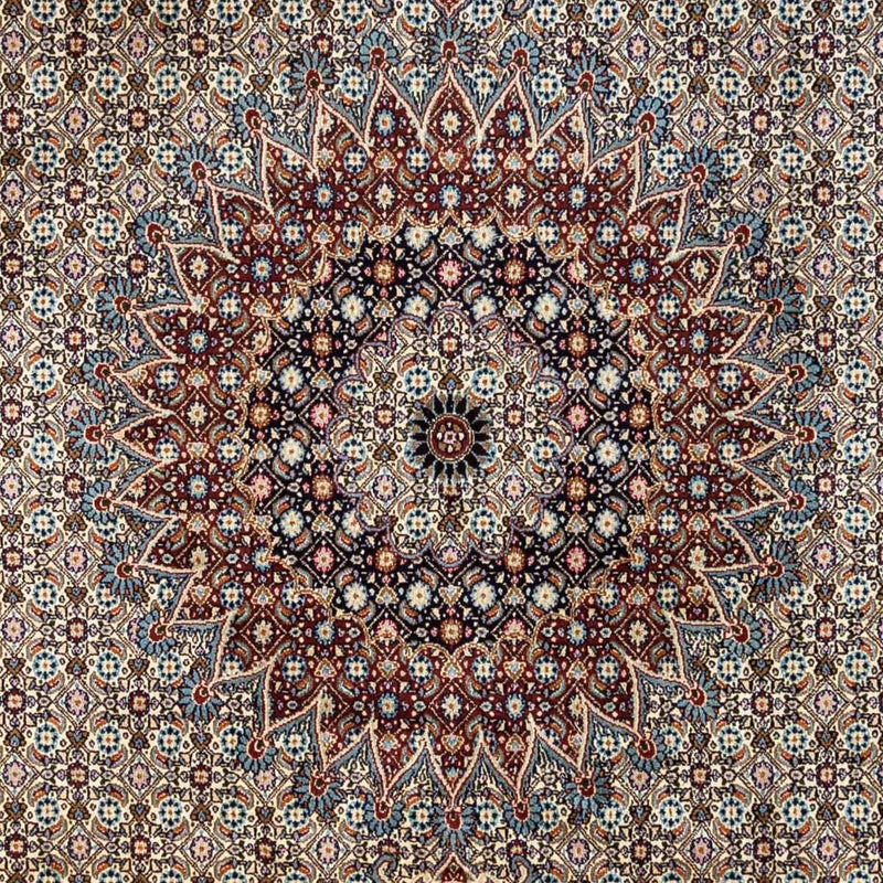 Moud Tapete 338x242cm - Tapete persa