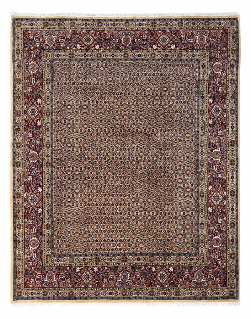 Moud Tapete 295x243cm - Tapete persa