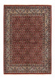 Moud Tapete 218x155cm - Tapete persa