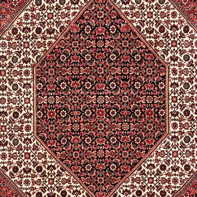 Bidjar - Takab Tapete 350x252cm - Tapete persa
